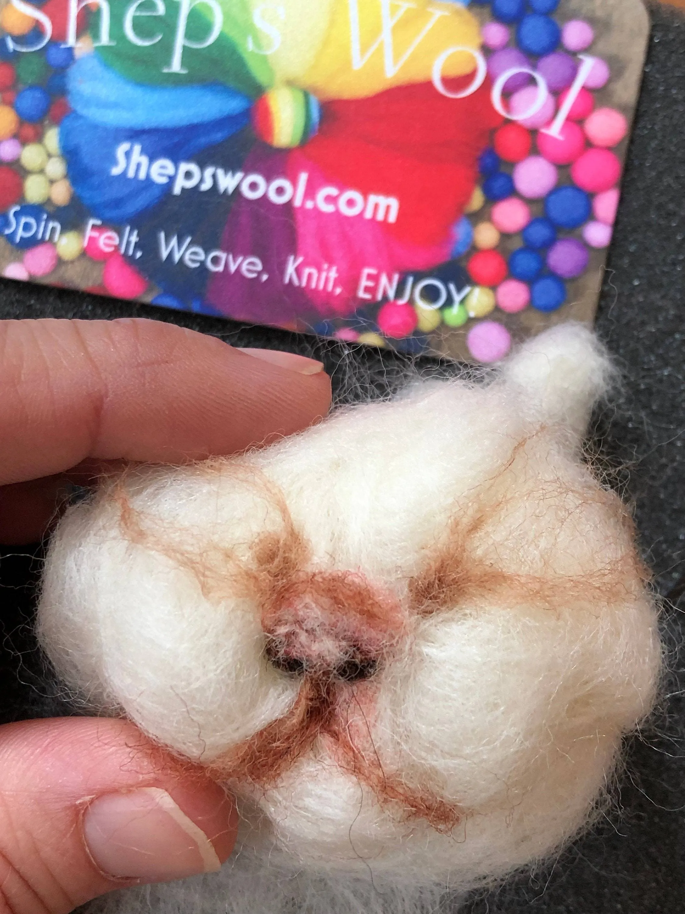 1lb Wool Roving, Wool Roving,  Roving, Roving Wool, Shep's Wool, Fast Shipping