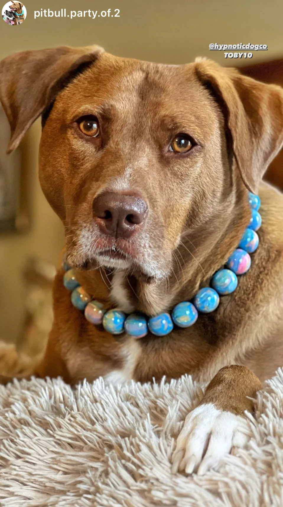 Blue Opalite Resin Bead Collar