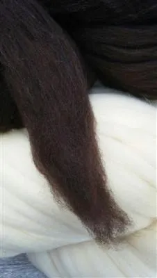 Cocoa Brown Corriedale Wool Roving