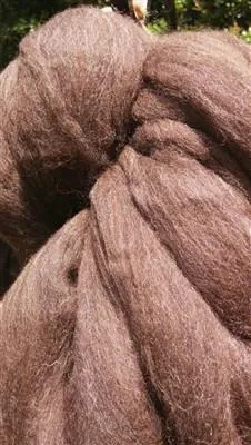 Cocoa Brown Corriedale Wool Roving