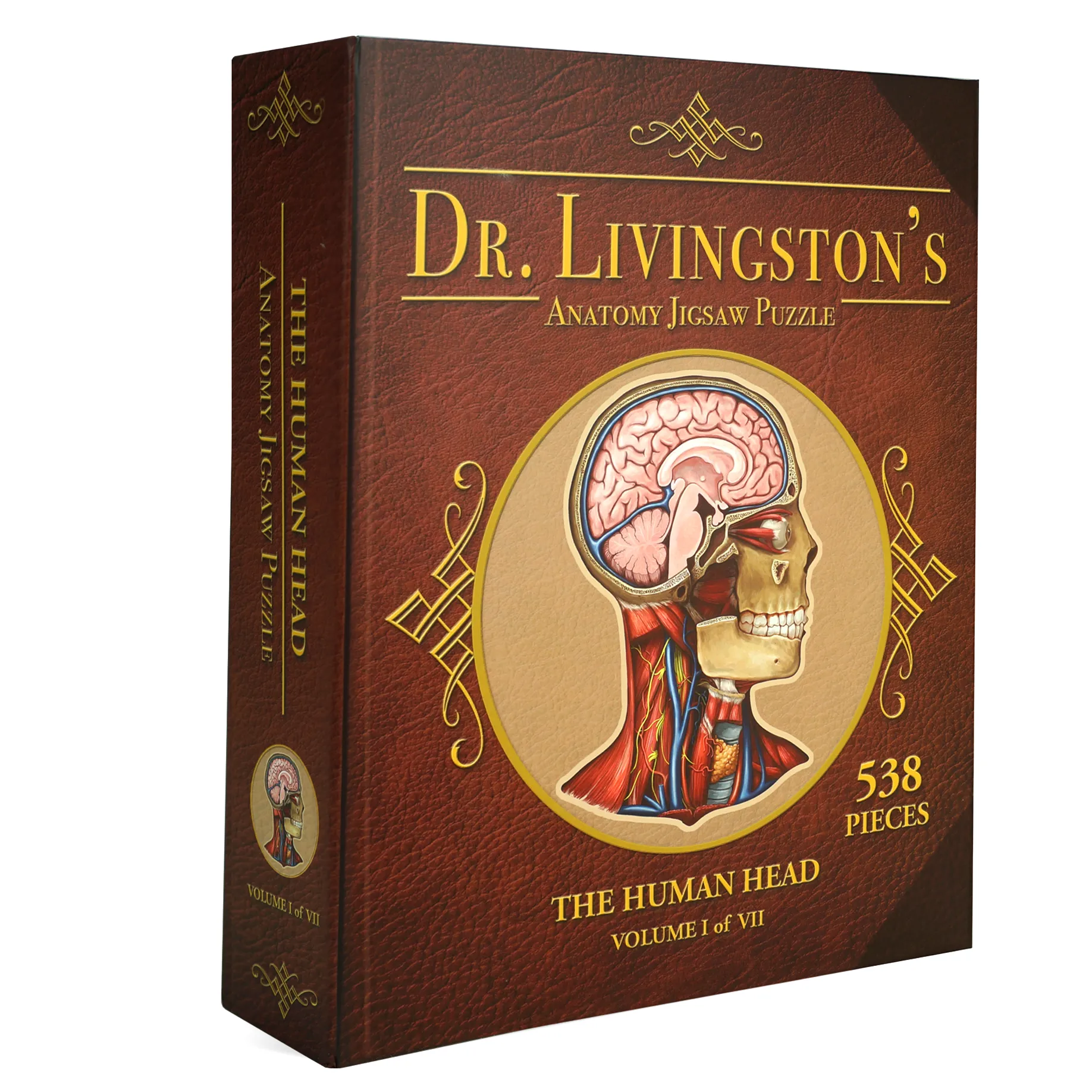 Human Head Anatomy Jigsaw Puzzle | Dr Livingston's Unique Shaped Science Puzzles, Accurate Medical Illustrations of the Body, Organs, Brain, Skull