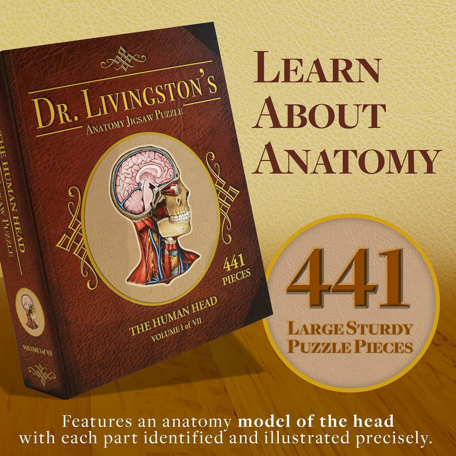 Human Head Anatomy Jigsaw Puzzle | Dr Livingston's Unique Shaped Science Puzzles, Accurate Medical Illustrations of the Body, Organs, Brain, Skull