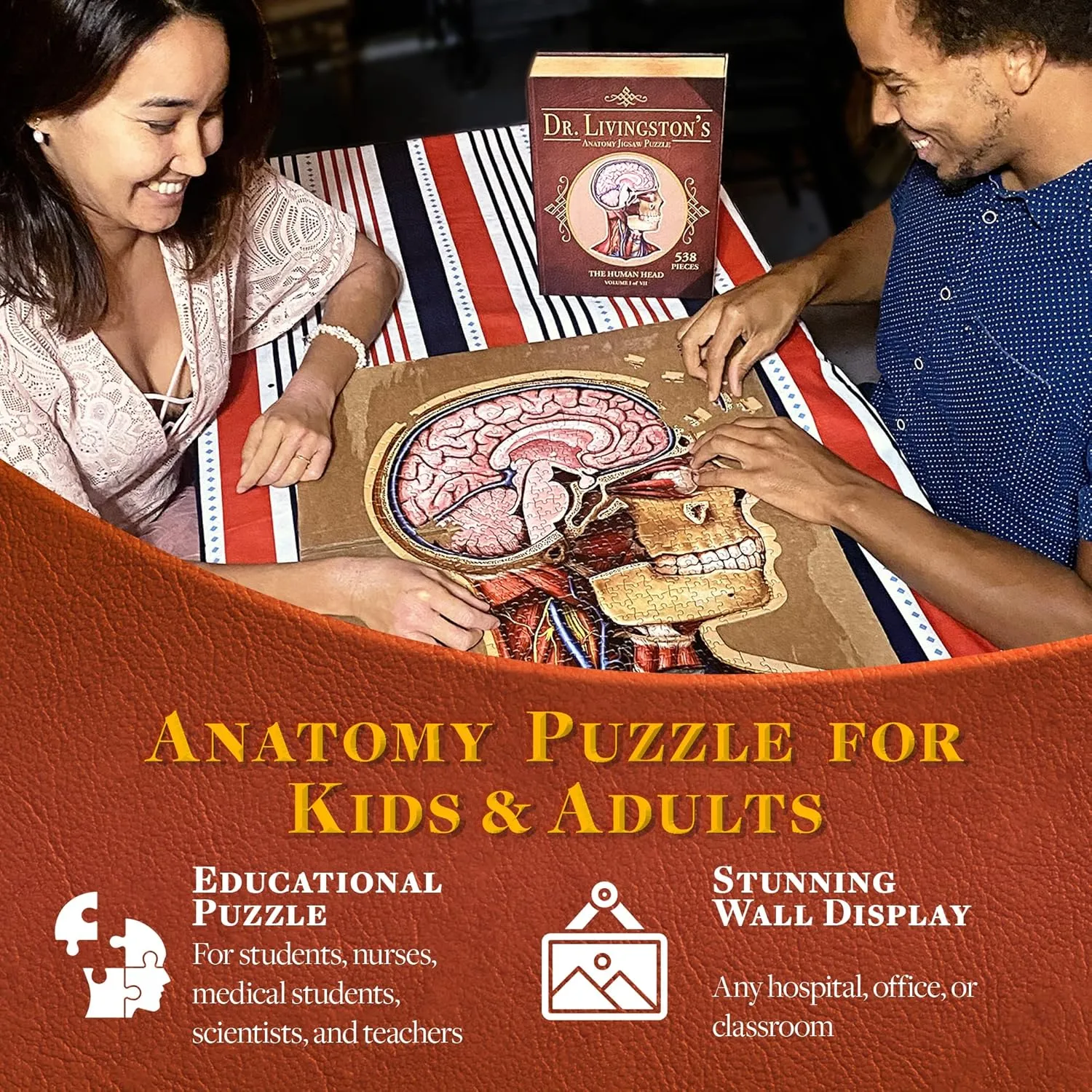 Human Head Anatomy Jigsaw Puzzle | Dr Livingston's Unique Shaped Science Puzzles, Accurate Medical Illustrations of the Body, Organs, Brain, Skull