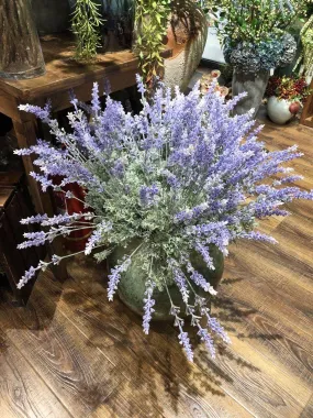 Long stem Lavender Flower