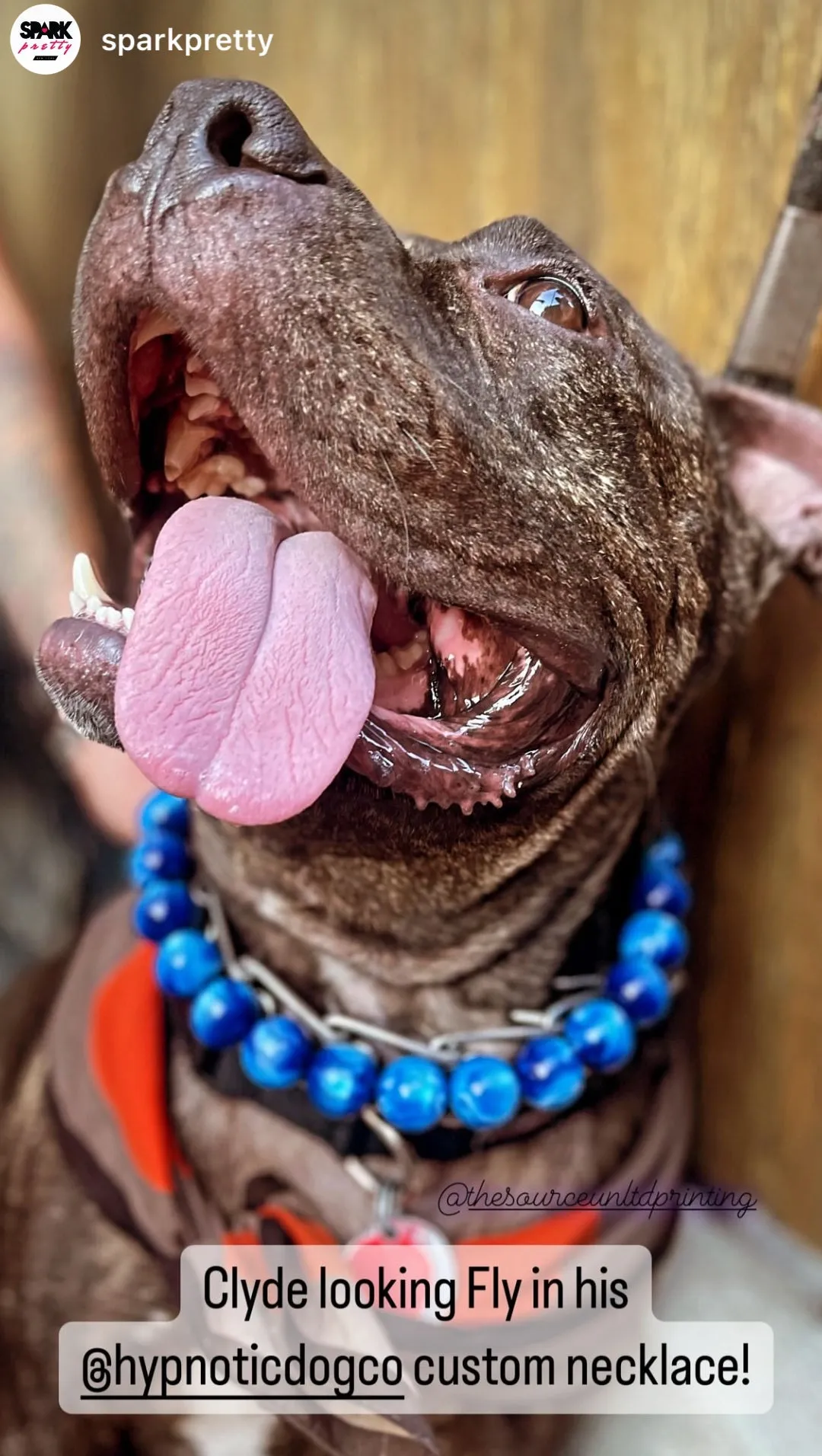 Nebula Blue Resin Bead Collar