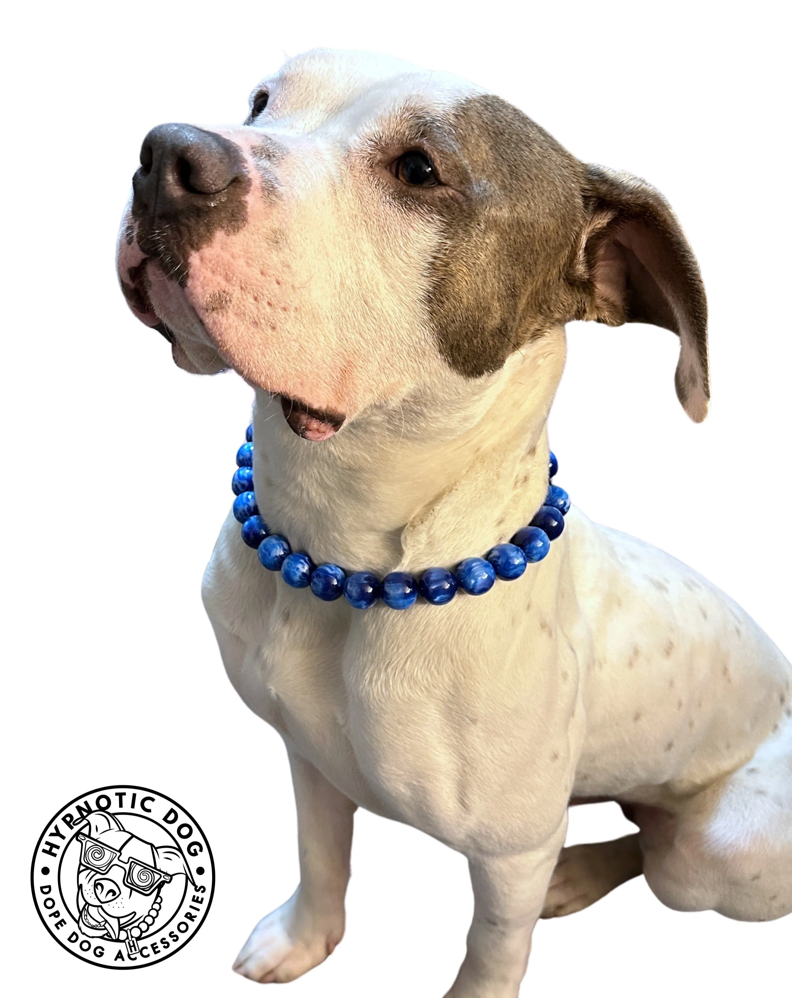 Nebula Blue Resin MINI [Small Dog/Cat Bead Collar]