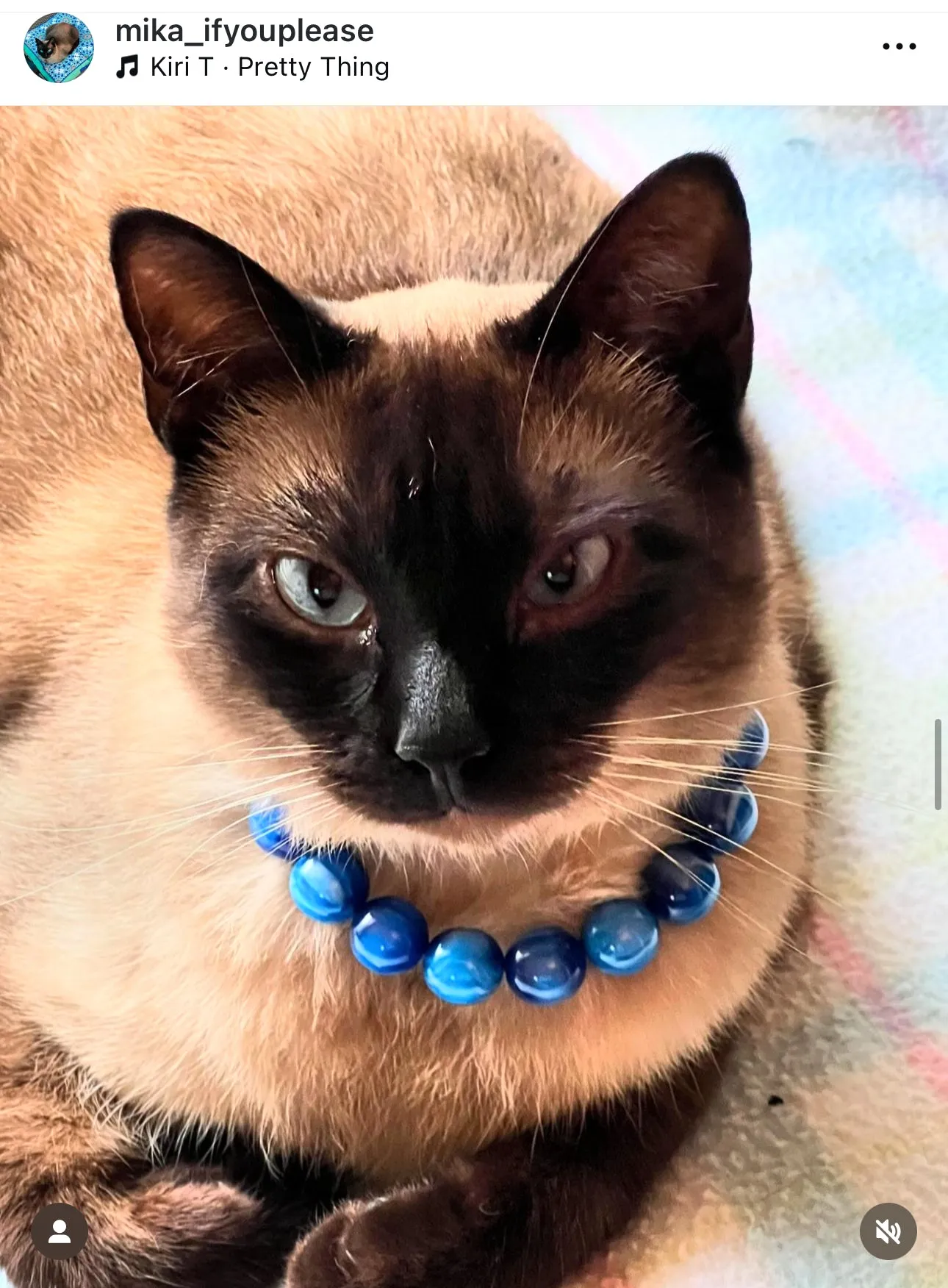 Nebula Blue Resin MINI [Small Dog/Cat Bead Collar]