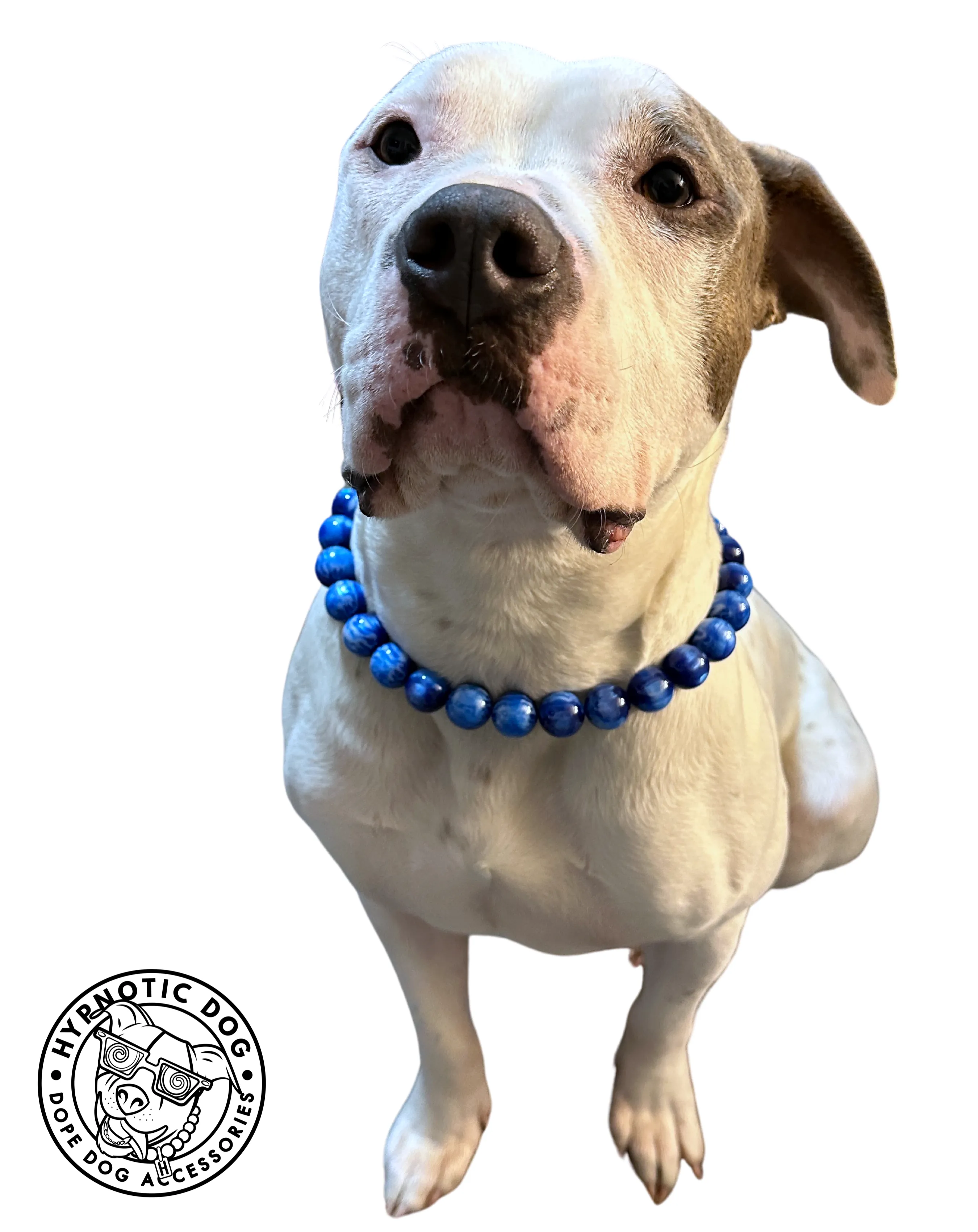 Nebula Blue Resin MINI [Small Dog/Cat Bead Collar]