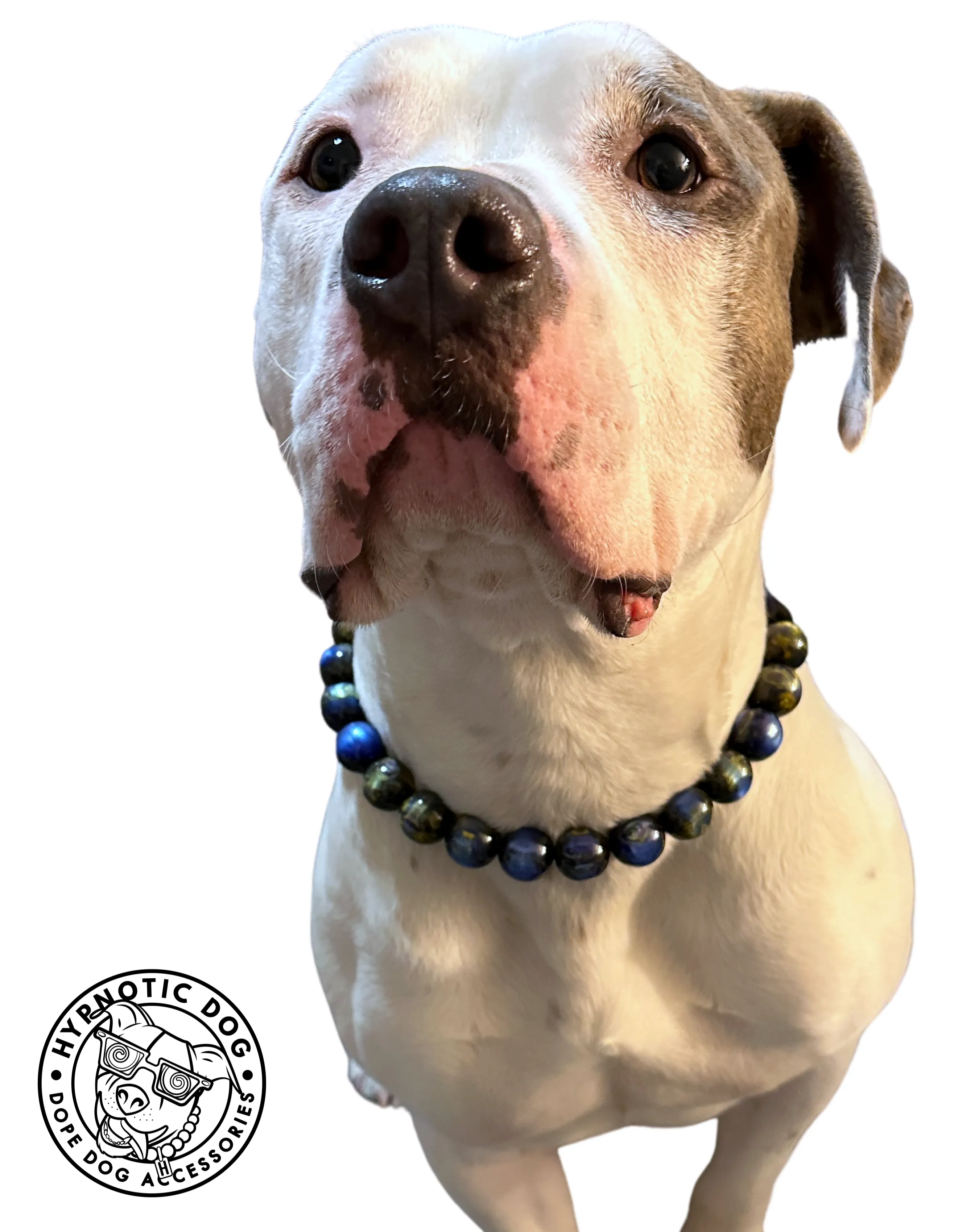 Starry Night Resin Bead Collar