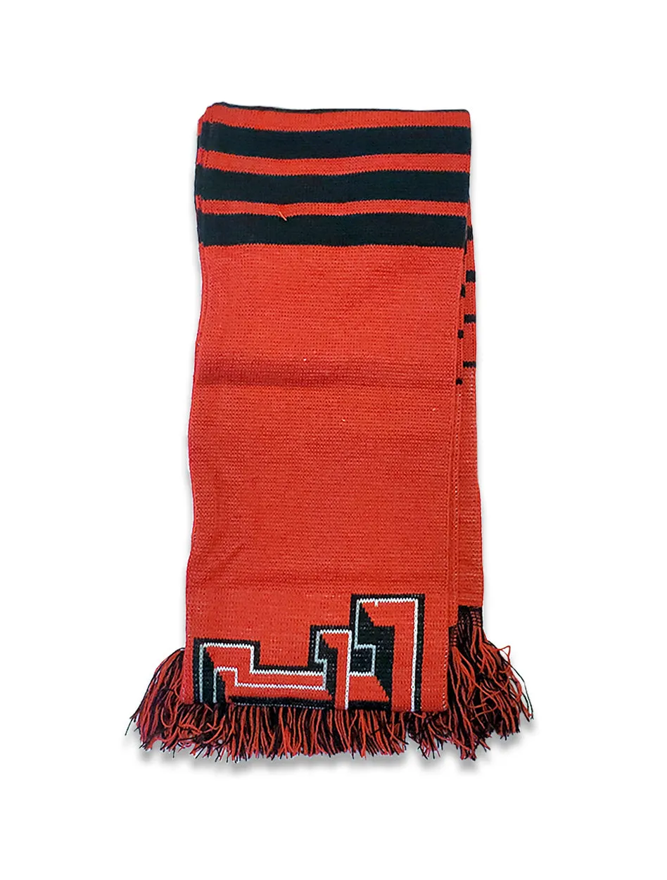 Texas Tech DoubleT Striped Scarf